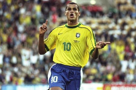 因为它不仅 因为它不仅